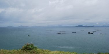 【廣東】陽(yáng)江沙扒灣海天度假邨項(xiàng)目前期考察順利結(jié)束